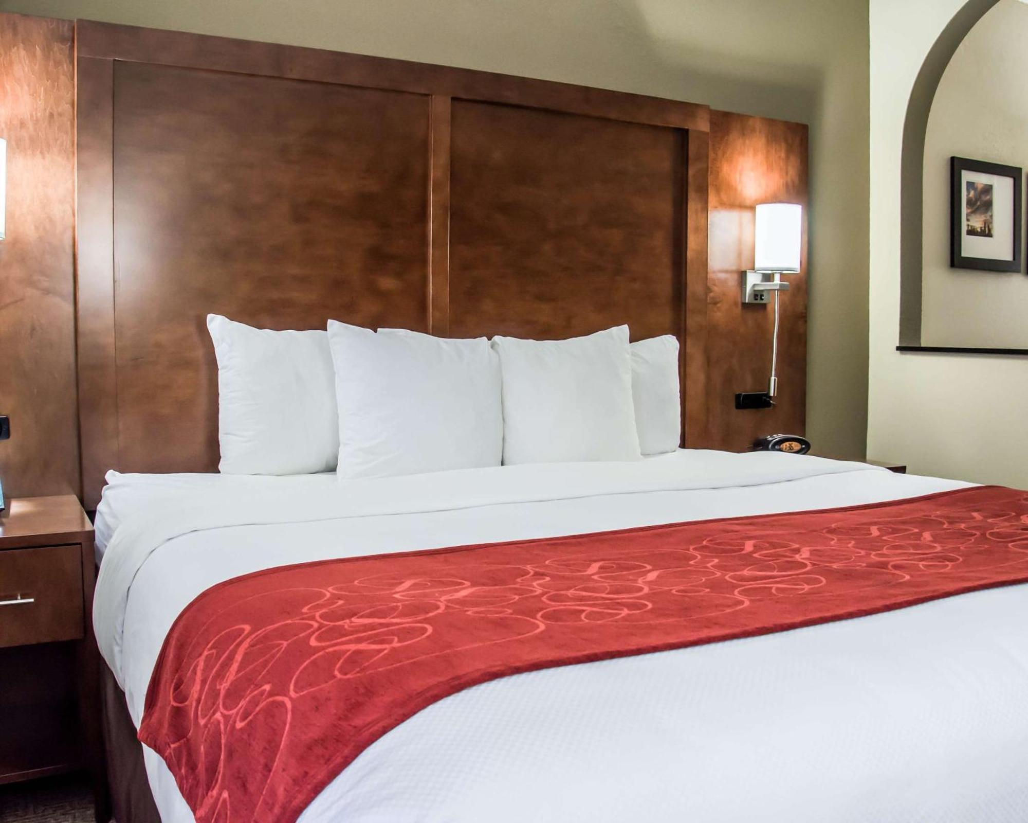 Comfort Suites University - Research Park Charlotte Ngoại thất bức ảnh